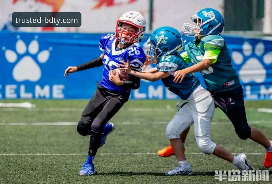 半岛体育平台新手入门指南：一份详尽的官网入口推荐与使用心得