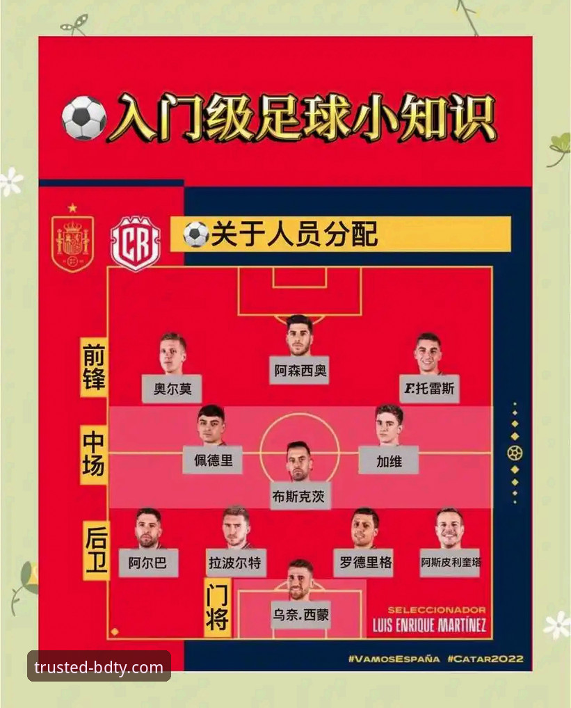 阿根廷世界杯前卫冕之路技术分析：帕尼切利伤缺影响与战术应对完整指南