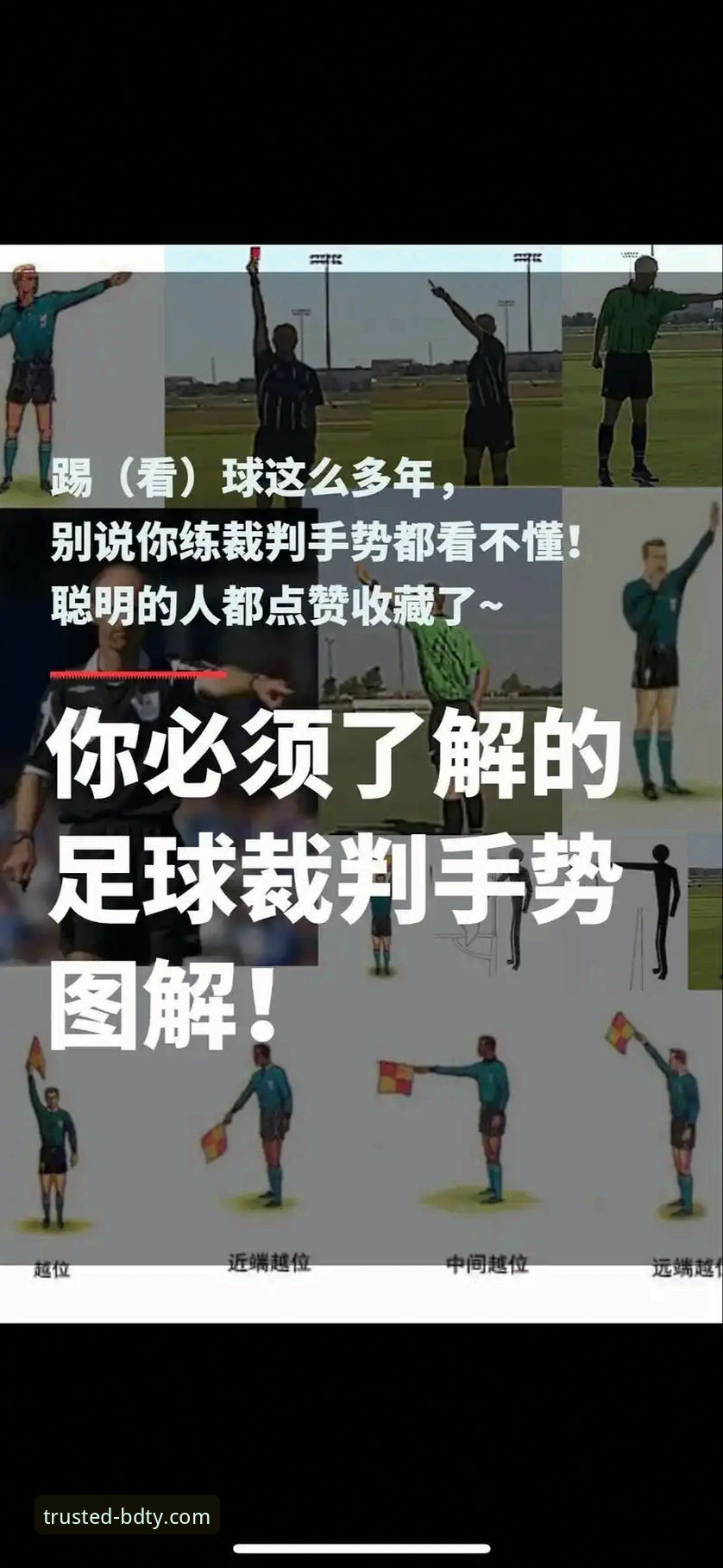半岛体育热门赛事教程：从新手到高手的完整指南